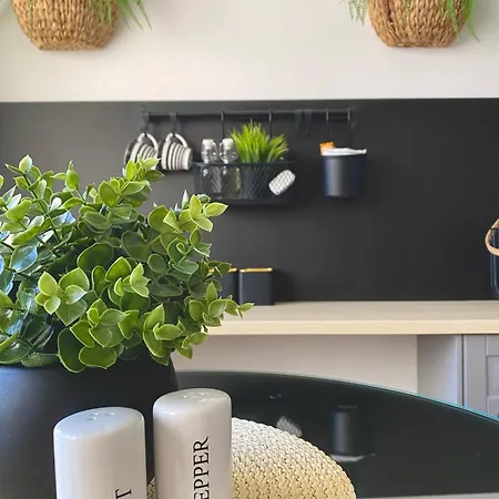 & Joy Of Life In * Makarska